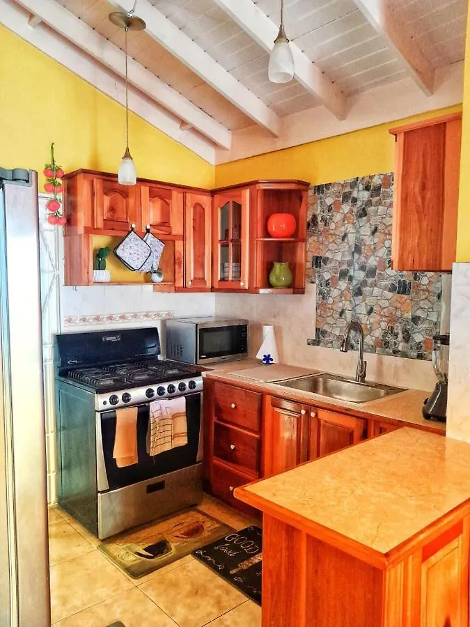 Sensational 2 Bedroom Getaway In Florence Hall Jamaica